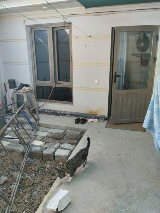 Яшнабадском районе