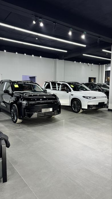 Leapmotr c16 electir gibrid 630 va 280 max