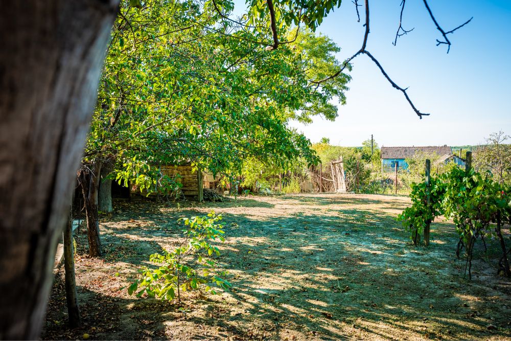 De vânzare – Casă + teren 1.900 mp, Ostrov, Tulcea – centru