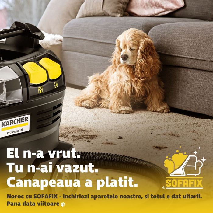 Închiriere Karcher Puzzi - curățat tapiterii, canapele