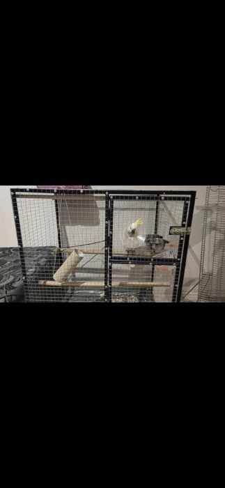 Клетка за папагали големи