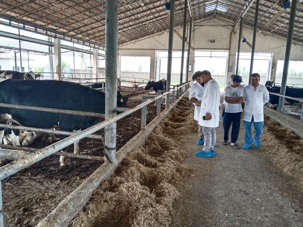 Sifatli va zamonaviy Veterinariya xizmati