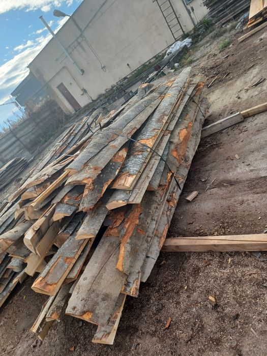 Lemne de foc (laturae)