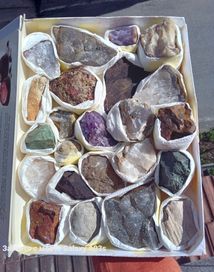 Кутия с минерали, фосили и вкаменени