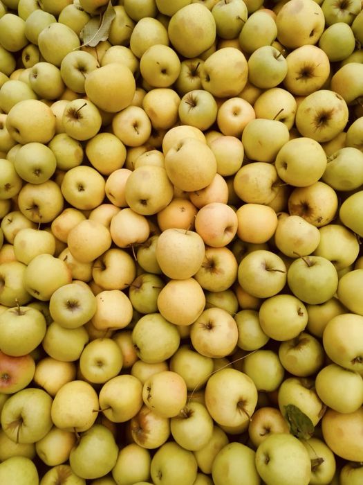 Продам яблоки 2,3 сорта