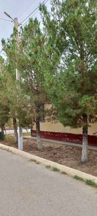 Навоий вил, Кармана тум, Малик МФЙ, Калдиргочда жойлашган  Коттедж