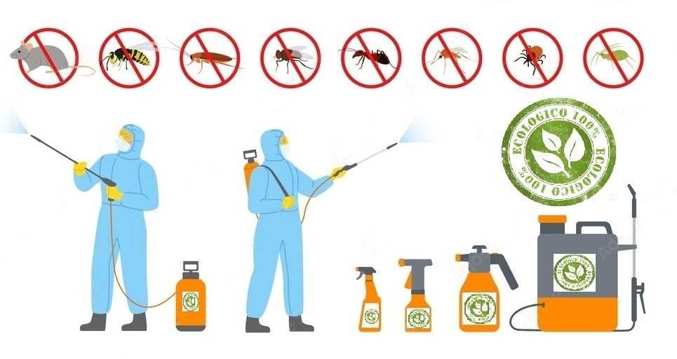 IFS / HACCP - Dezinsectie, Deratizare, Dezinfectie, Ecologic 100%
