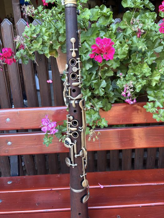 Vand taragot timis reconditionat, in stare ireprosabila