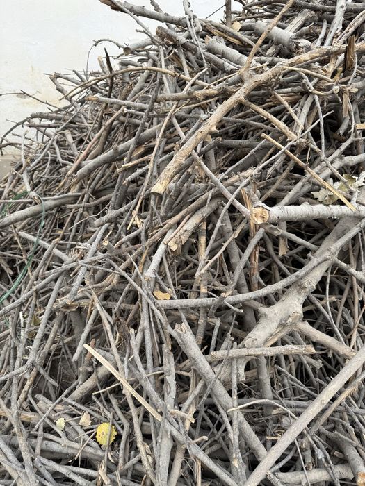 Otin,yogosh, sotiladi juda zor qolata 2 moshina shiqadi