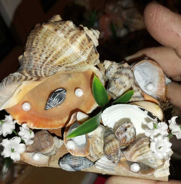 vor sa plece ...anintiri de neuitat