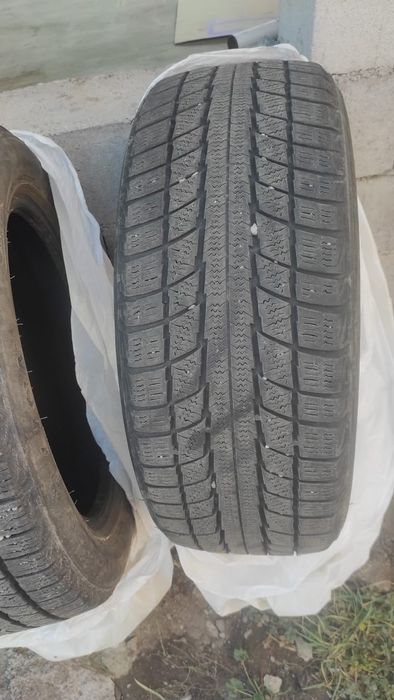 Продам шины зимние triangle