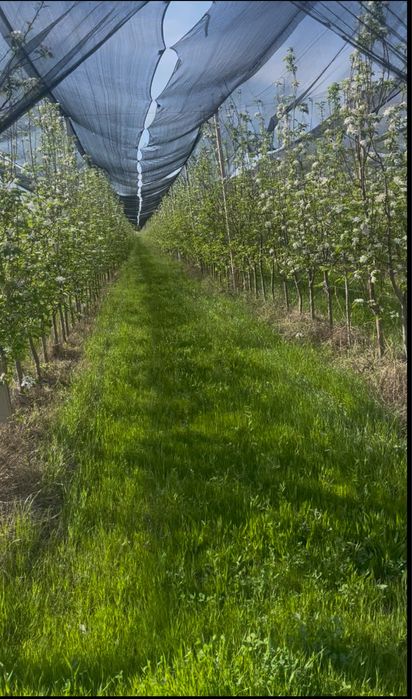 Тайёр бизнес сотилади