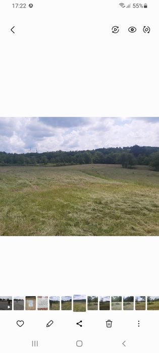 Teren de vânzare 2 hectare 142m² Coșevița jud.Timiș
