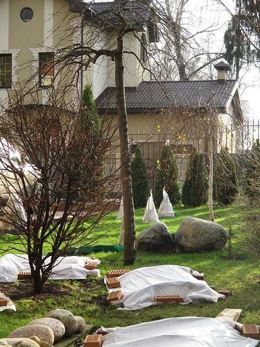 Садовник подготовка к осени и зиме формирование деревьев уход за садом