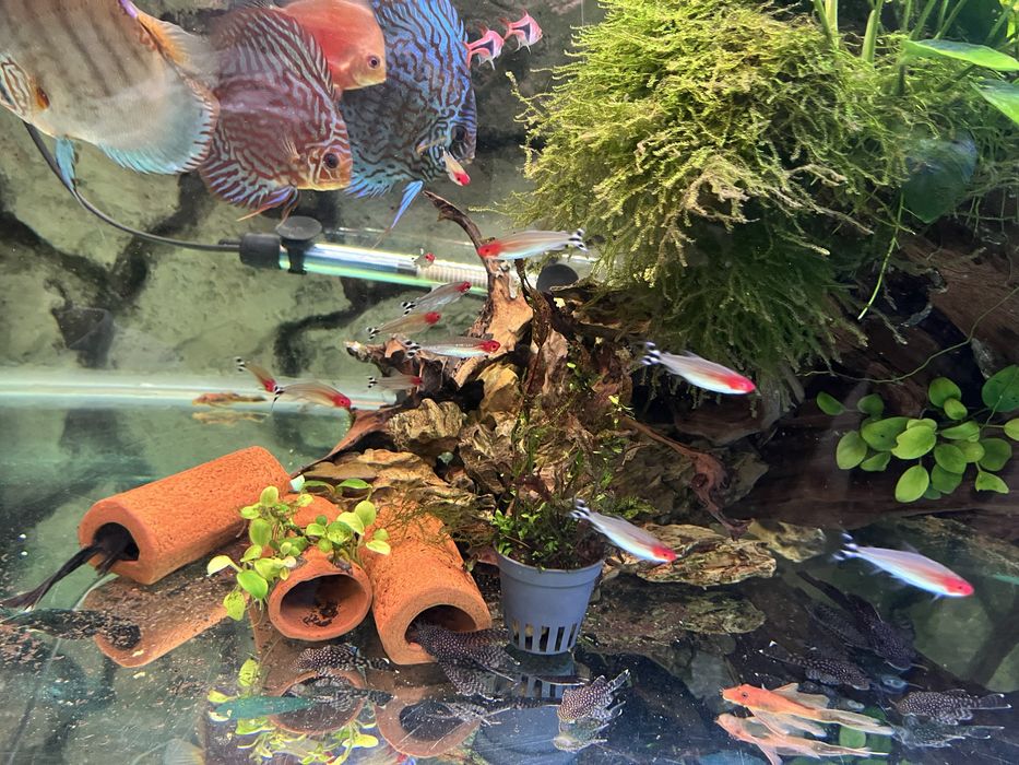 Аквариум 420 литра с метална стойка