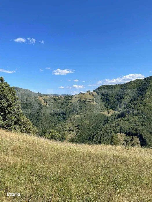 Teren intravilan in Martinie,Sugag