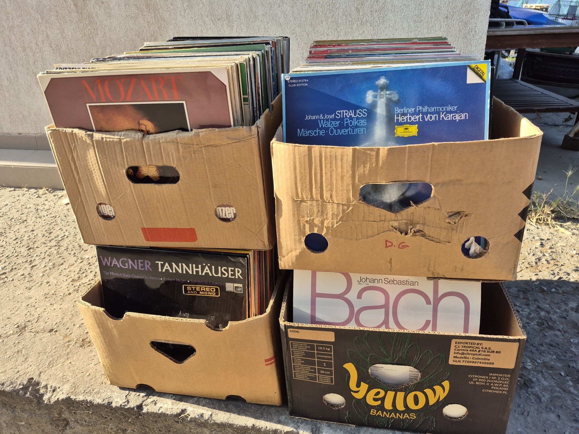 Vand Lot 150lp Discuri Vinil cu muzică clasică mixta 

Artiști:

- Fra