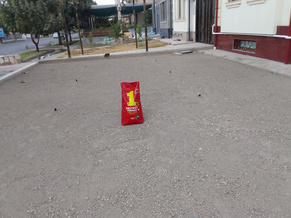 Gazon ekamiz urugdan.