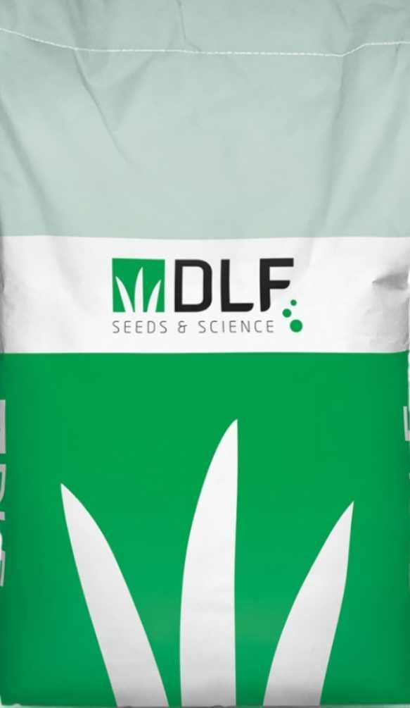 Газонная трава Playground (DLF Trifolium)