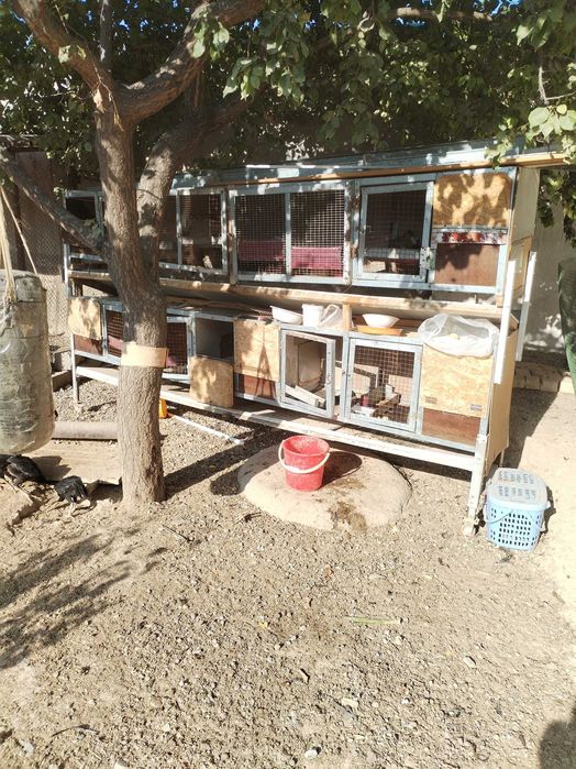 Продаётся домик для кроликов и т. п.,  обл. АВИР,  от Сельхоза 2 км