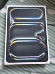 Ipad Pro 11 M4 256 gb