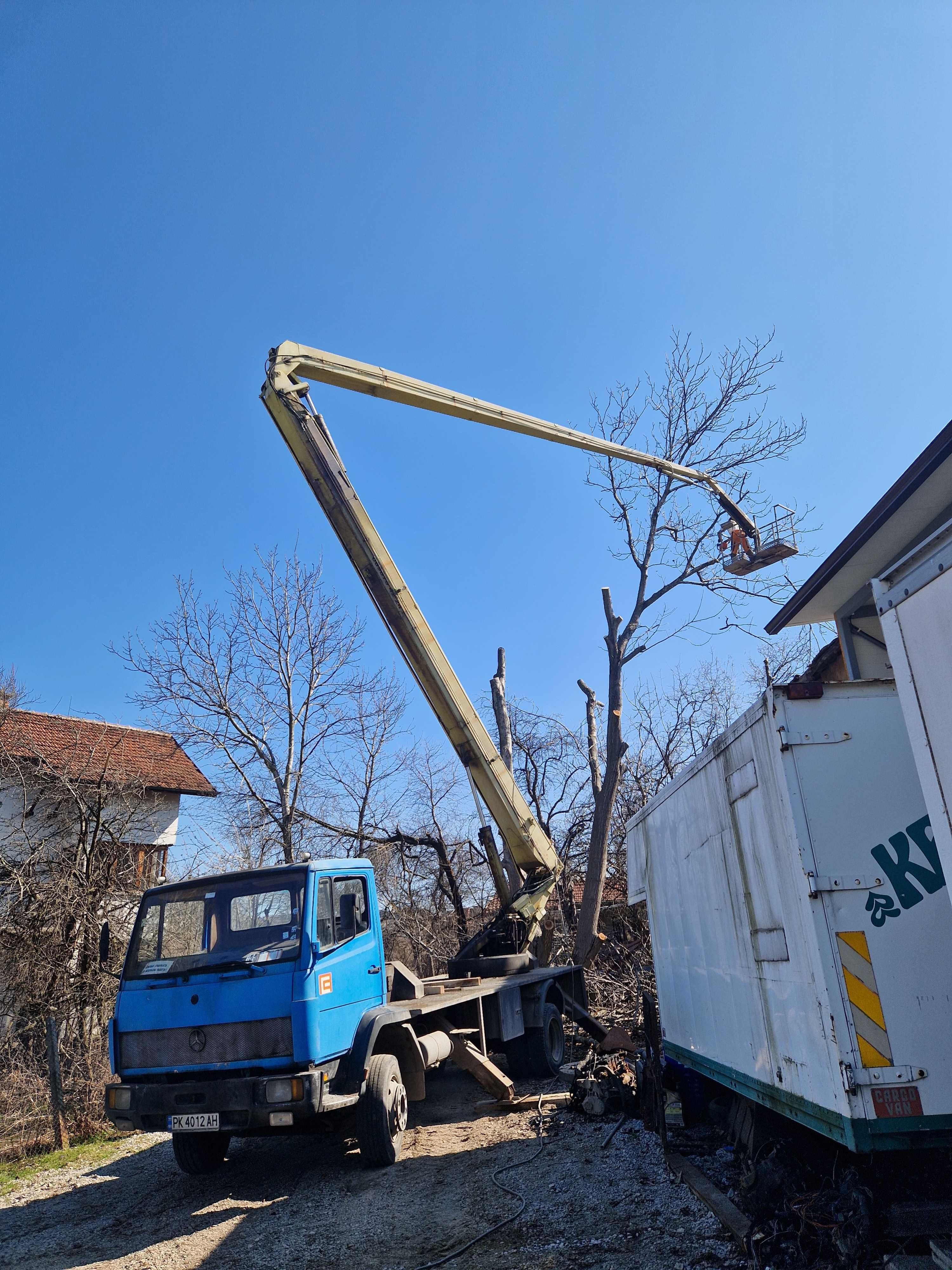 Рязане на опасни дървета и клони