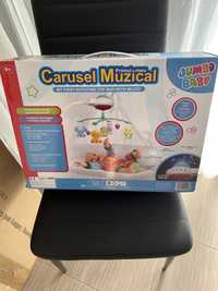 Carusel muzical unisex