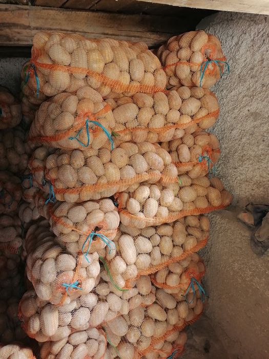 Vand cartofi rosu sí alb