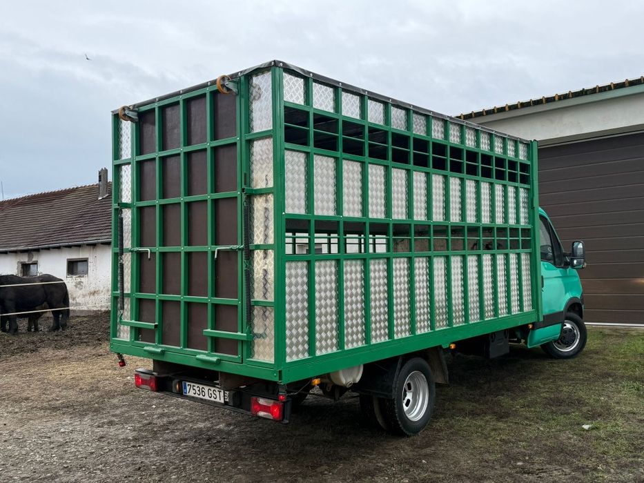 Iveco Daily Transport animale vii