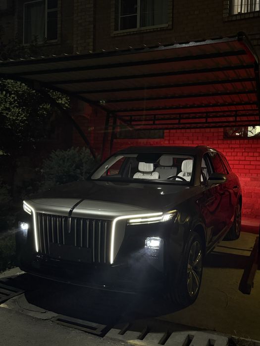 Hongqi E-HS9 2021