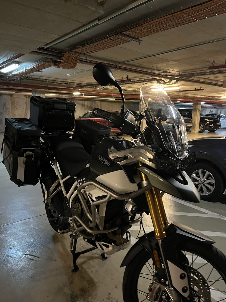 2023 Tiger 900 Rally Pro