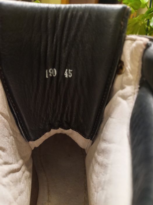 Bocanci munte Stellina