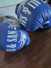 Боксёрские  перчатки Alisan sport
