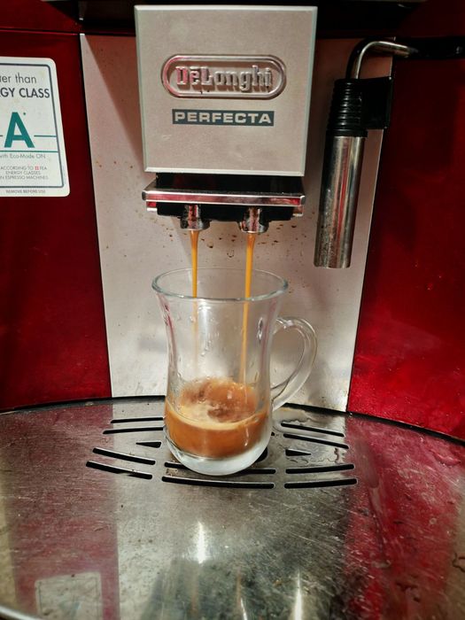 Delonghi ESAM5500 Perfecta