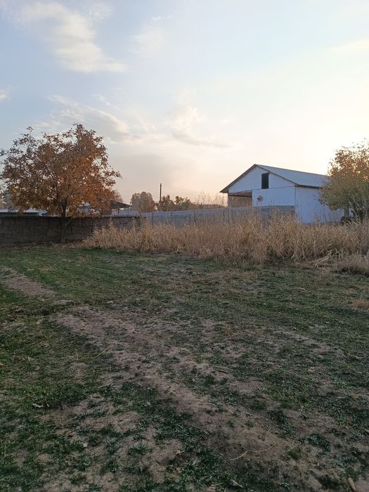 Shahrisabzdan Uchaska sotiladi