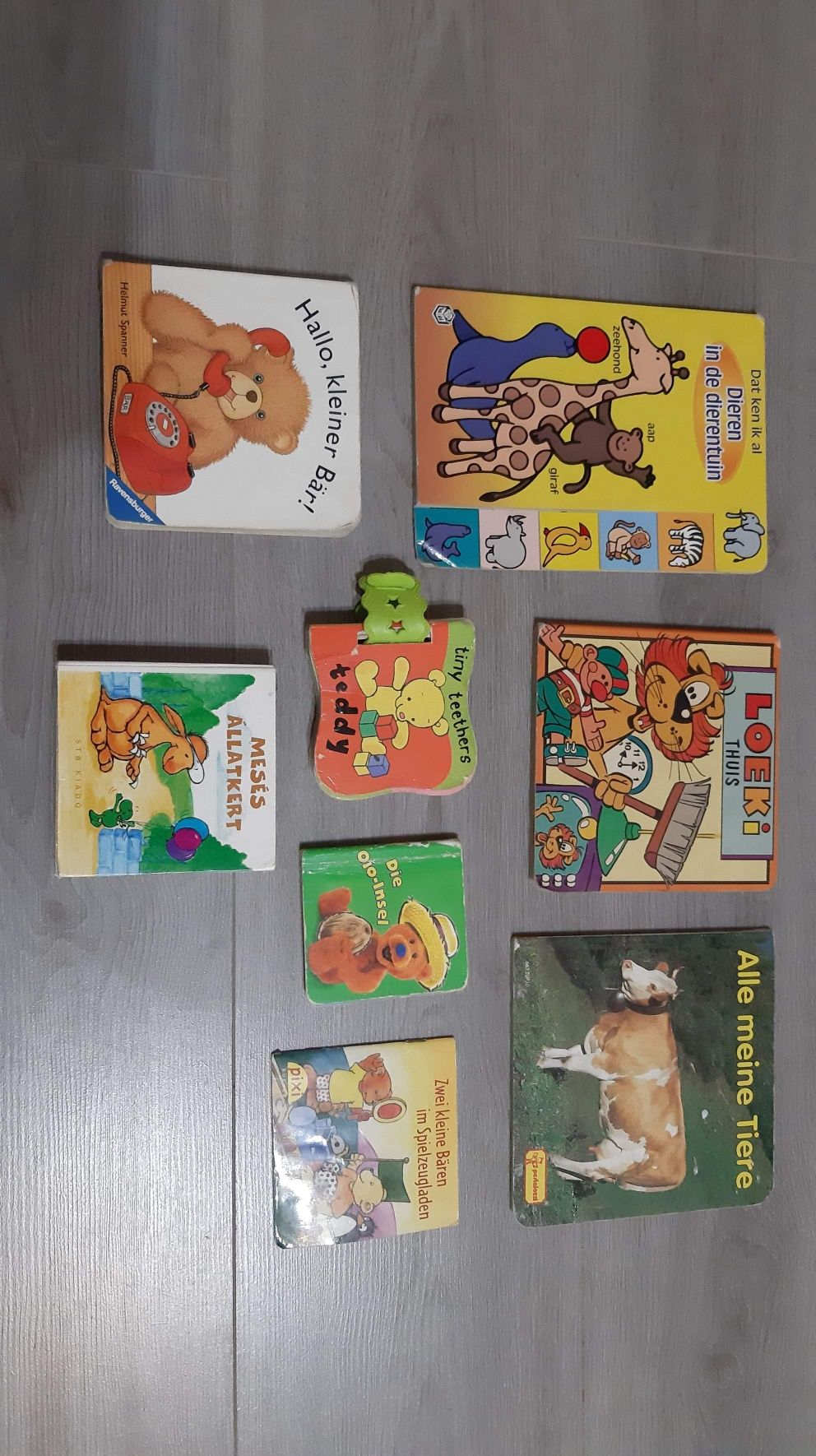Carti in limba maghiara pentru copii