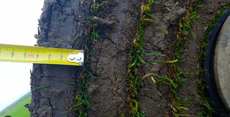 Gazon Rulou Transport montaj