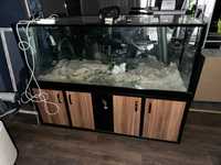 Голям аквариум за риби