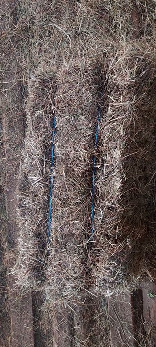 De vânzare baloți de fân, lucernă! Dreptunghiular, Rotund!