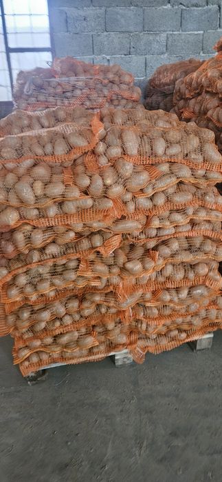 Cartofi de consum albi si roși