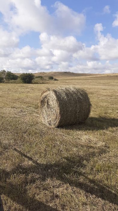 Продаются рулоны.