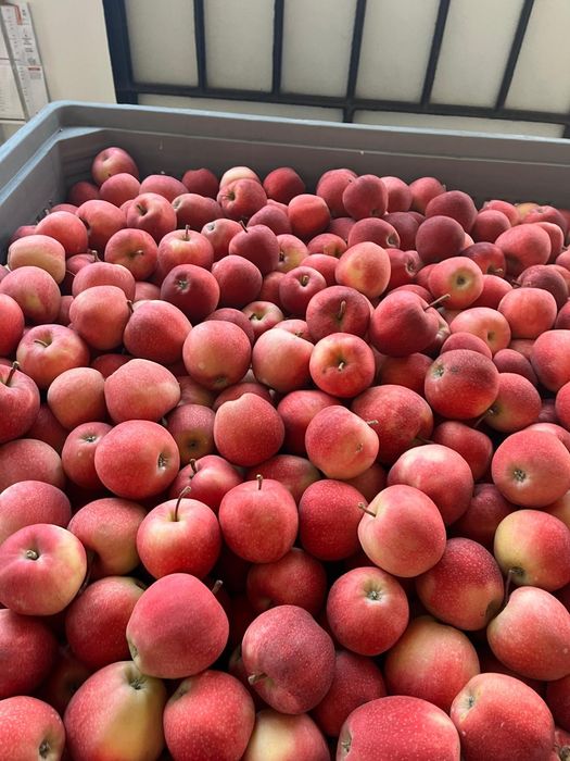 Sarmasag gări 111 FRUCTE ȘI LEGUME EN-GROS
