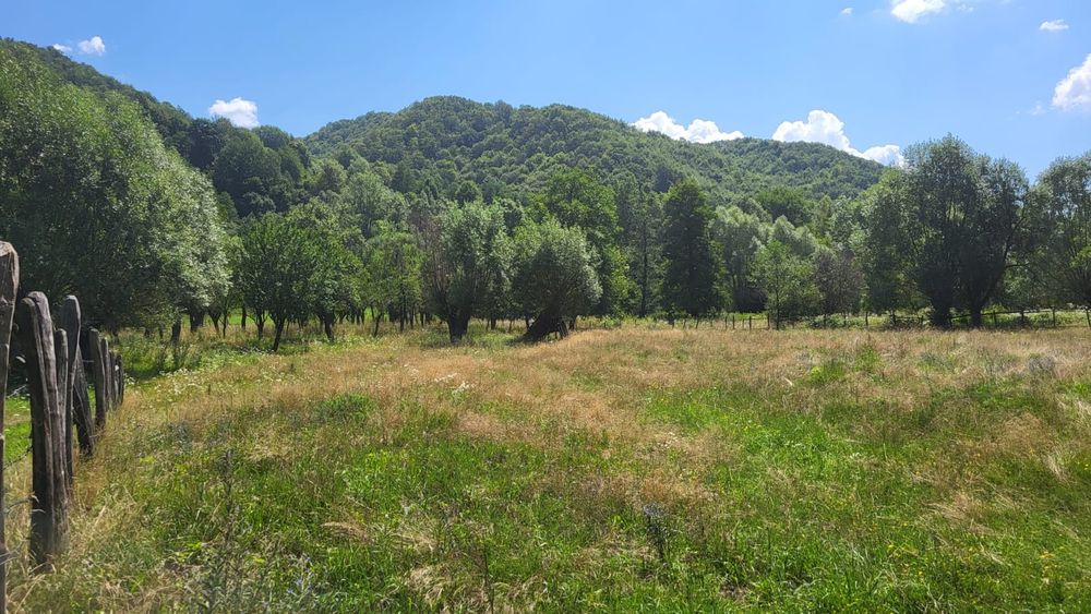 Terenuri de vanzare