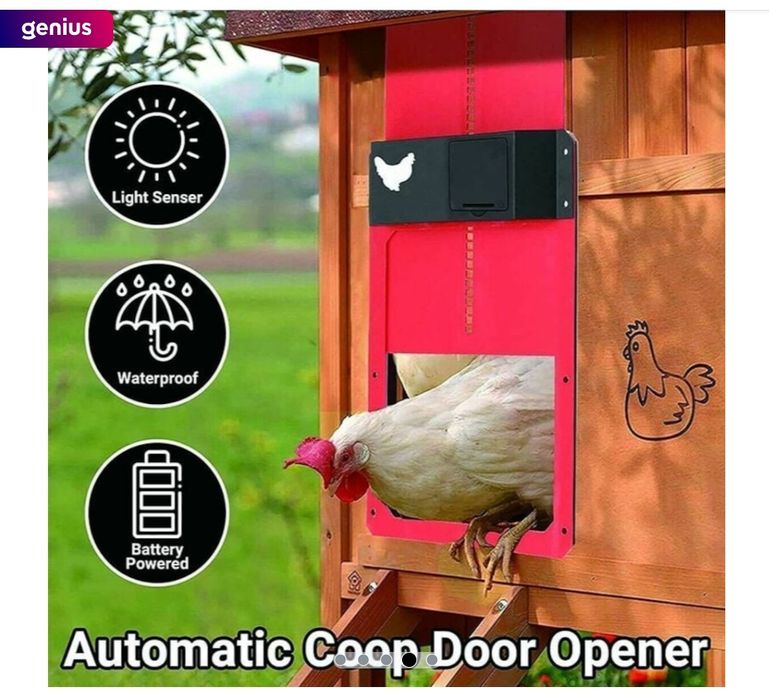 Usa pentru cotet pasari