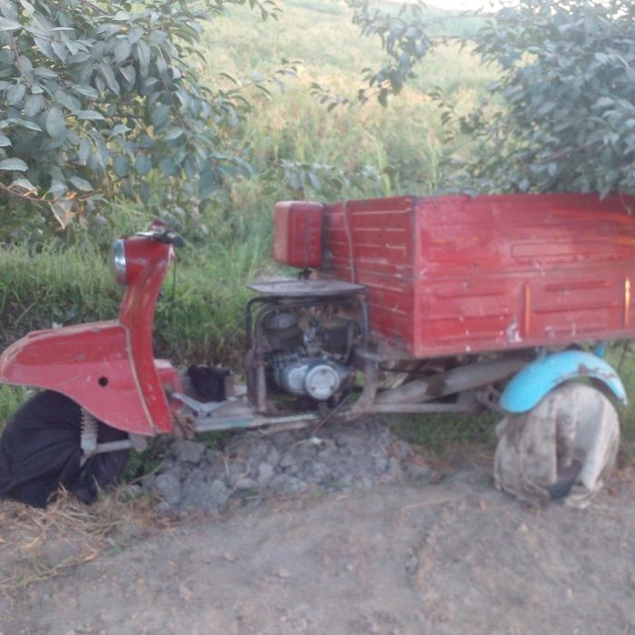 Муравей сотилади.