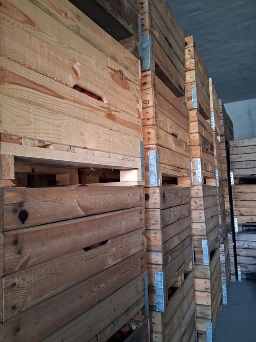 Mere de vanzare calitate extra lux.