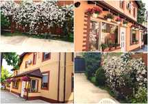 Casa zona Cosbuc- Aurel Vlaicu