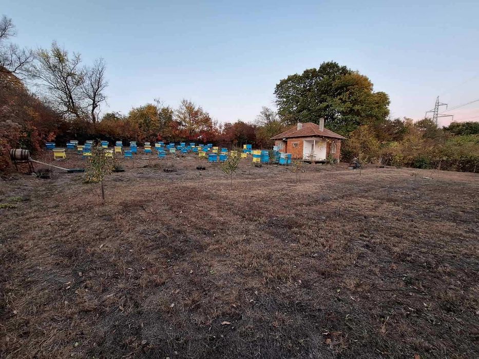 Къща/вила/пчелин с 1151 кв.м земя