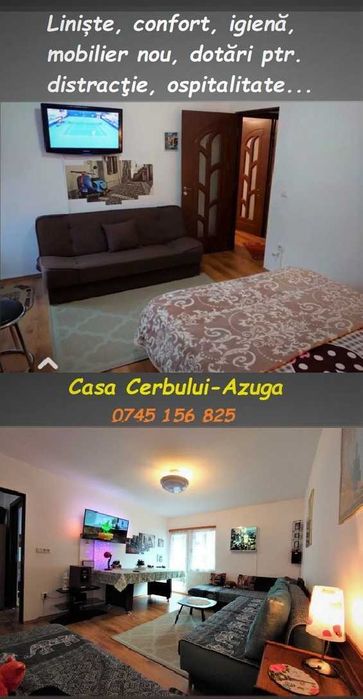 Casa Cerbului Azuga*** apartament vilă de la 160/camera