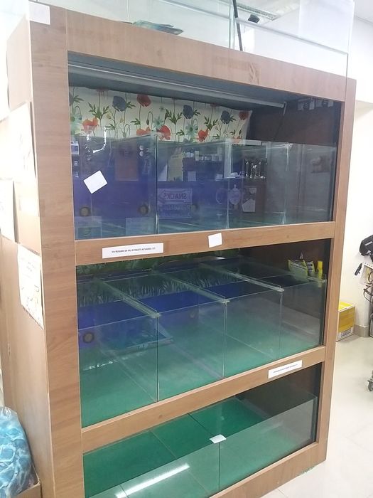 Mobilier cu acvarii & terariu – ideal pentru petshop / crescători / pa